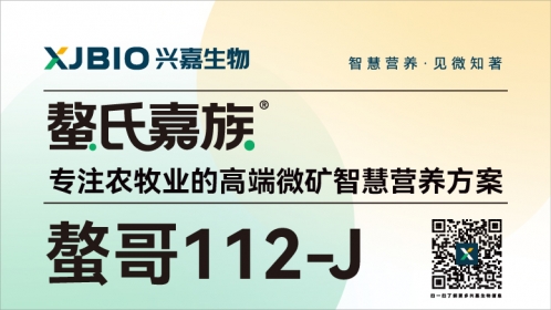 螯哥112-J