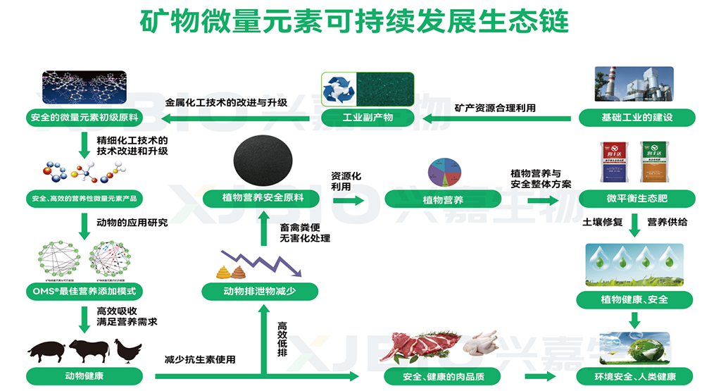 微量元素，被忽视的生命密码