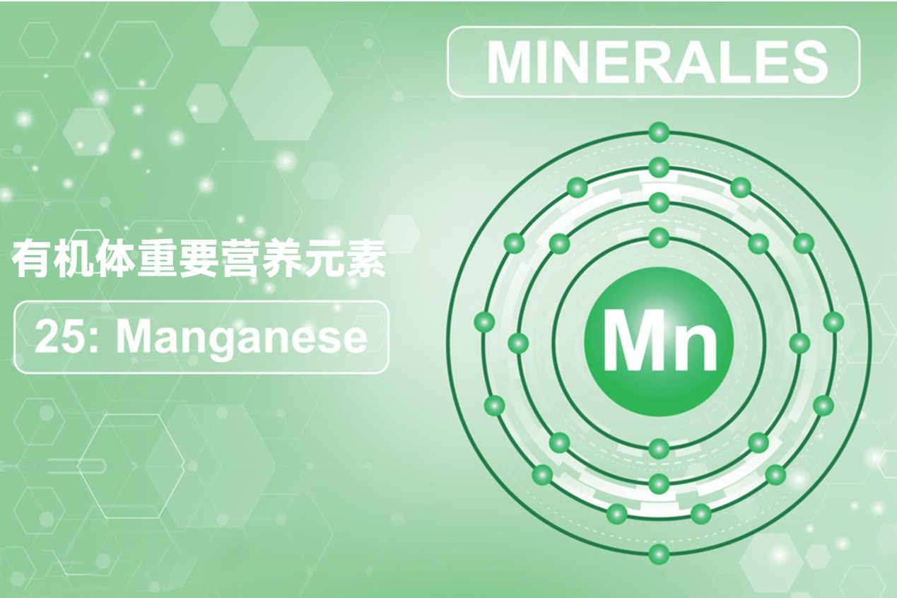 有机体重要营养元素 —— 锰