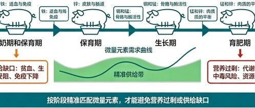 猪料配方的微量元素，如何实现“有效供给”
